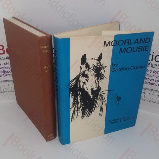 Picture of Moorland Mousie