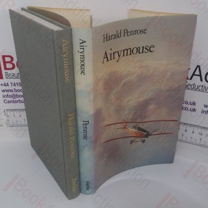 Picture of Airymouse