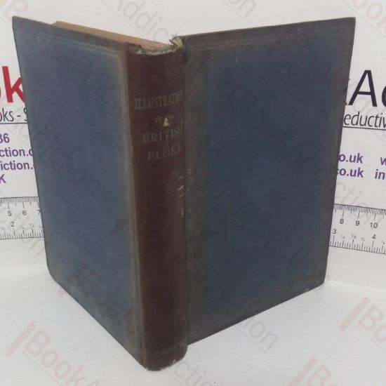 Picture of Illustrations of the British Flora: A Series of Wood Engravings, with Dissections of British Plants