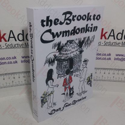 Picture of The Brook to Cwmdonkin