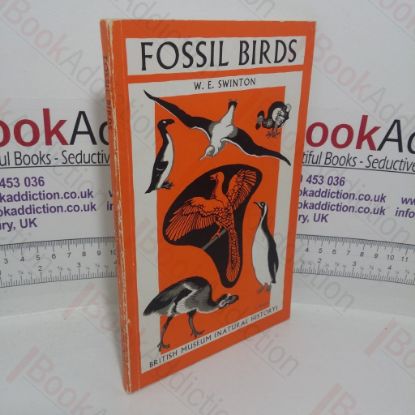 Picture of Fossil Birds