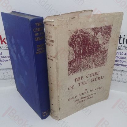 Picture of The Chief of the Herd