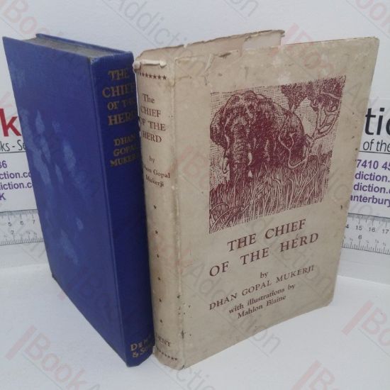 Picture of The Chief of the Herd