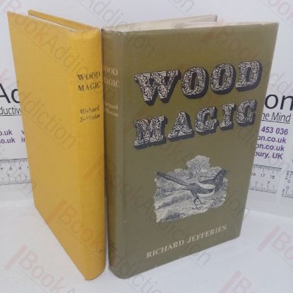 Picture of Wood Magic