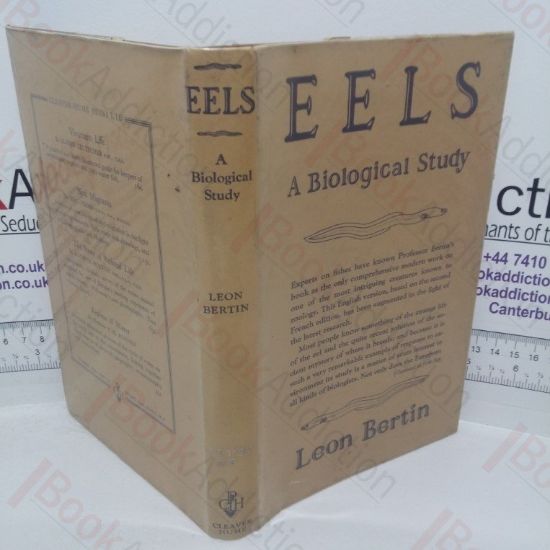 Picture of Eels: A Biological Study