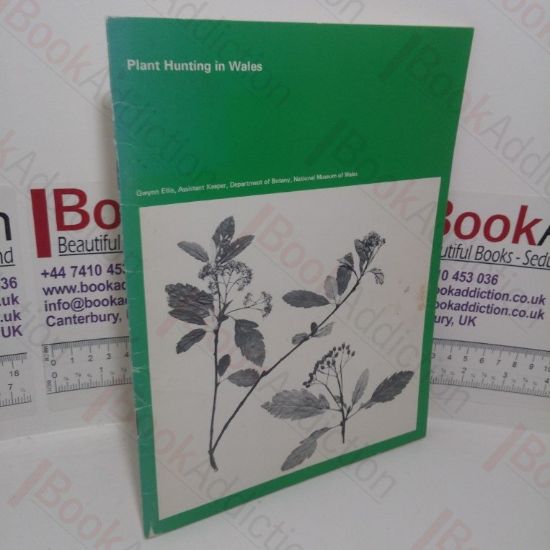 Picture of Plant Hunting in Wales