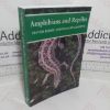 Picture of Amphibians and Reptiles: A Natural History of the British Herpetofauna  (New Naturalist)