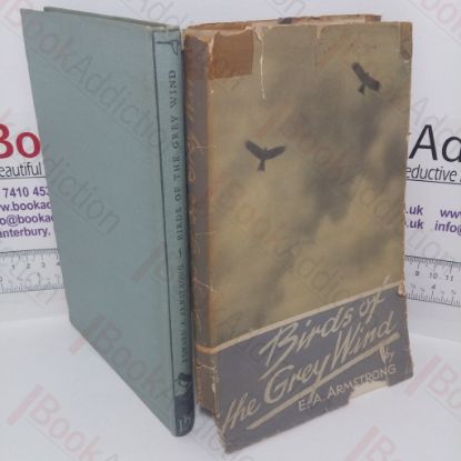 Picture of Birds of the Grey Wind