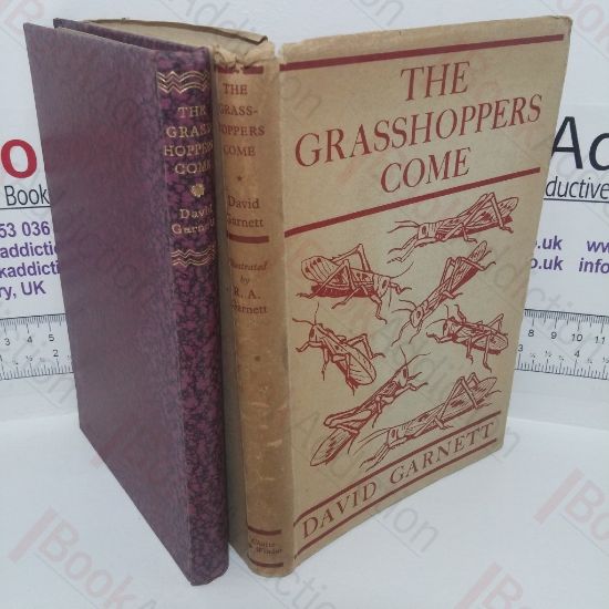 Picture of The Grasshoppers Come