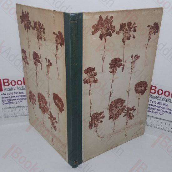 Picture of Old Carnations and Pinks