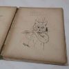 Picture of All Sorts of Comical Cats Pictured by Louis Wain