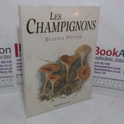 Picture of Les Champignons