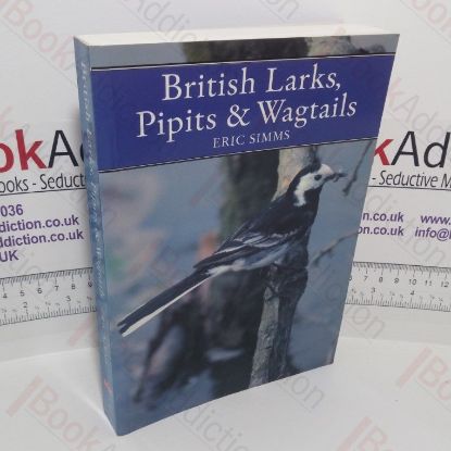 Picture of British Larks, Pipits and Wagtails (The New Naturalist series, No. 78)