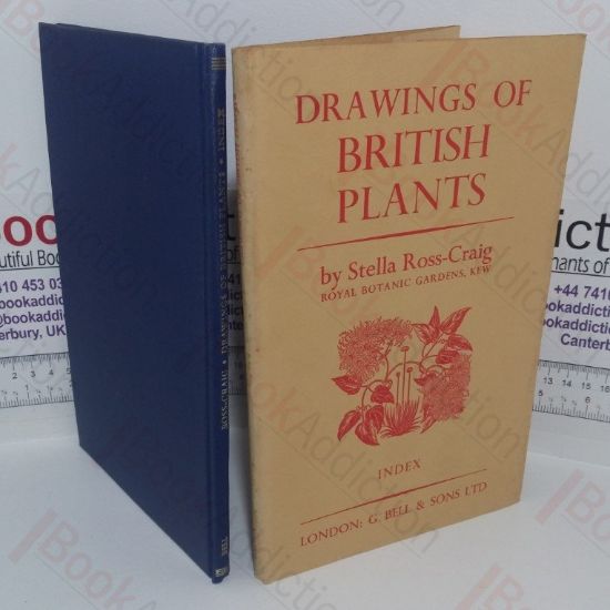 Picture of Drawings of British Plants, Being Illustrations of the Species of Flowering Plants Growing Naturally in the British Isles: Index