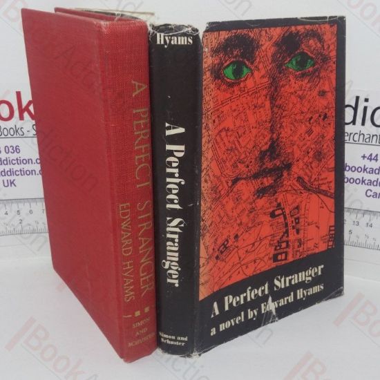 Picture of A Perfect Stranger: A Novel