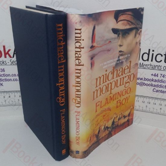 Picture of Flamingo Boy