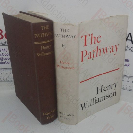 Picture of The Pathway (Flax of Dream sequence, Book 4)