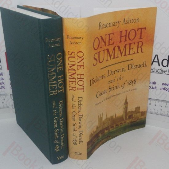 Picture of One Hot Summer: Dickens, Darwin, Disraeli and the Great Stink of 1858
