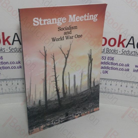 Picture of Strange Meeting: Socialism and World War One
