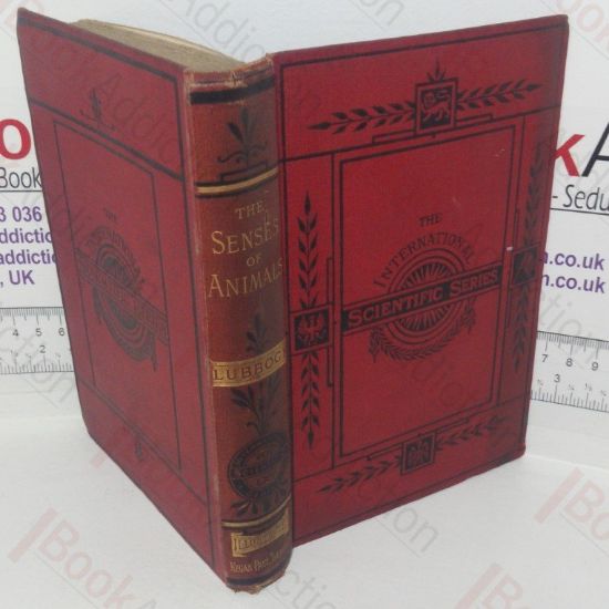 Picture of On the Senses, Instincts, and Intelligence of Animals with Specific Reference to Insects (International Scientific series)