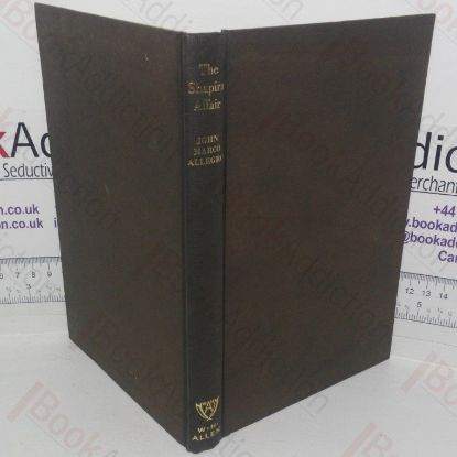 Picture of The Shapira Affair