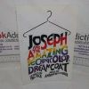 Picture of Joseph and the Amazing Technicolor Dreamcoat