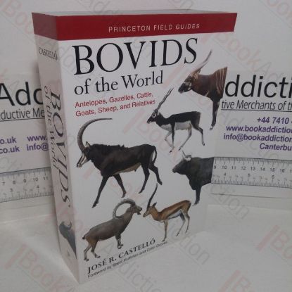 Picture of Bovids of the World: Antelopes, Gazelles, Cattle, Goats, Sheep, and Relatives (Princeton Field Guides, 104)