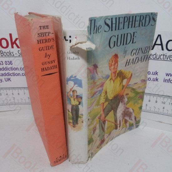 Picture of The Shepherd's Guide