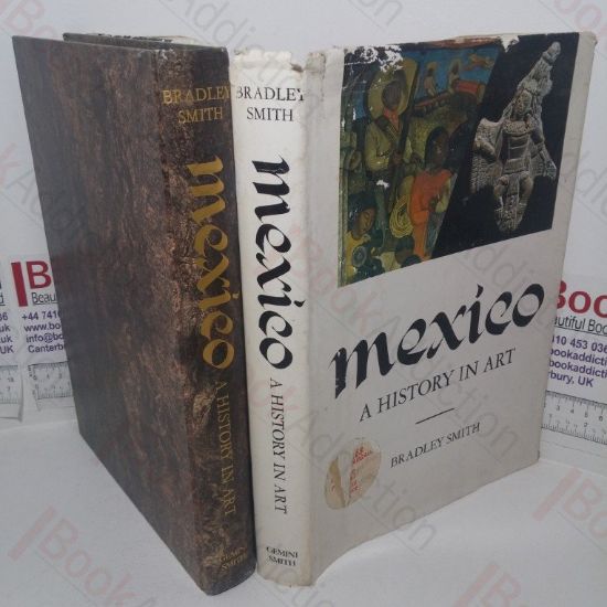 Picture of Mexico: A History in Art