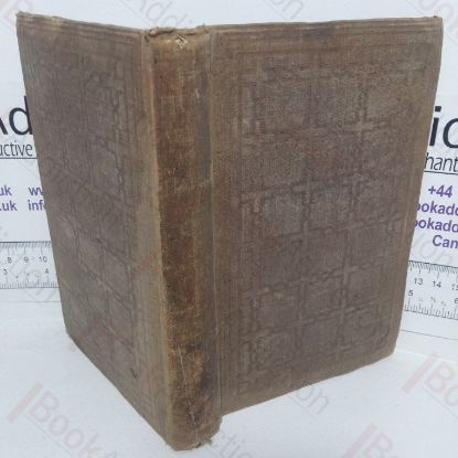 Picture of The Irish Abroad and at Home: At the Court and in the Camp, with Souvenirs of the Brigade, Reminiscences of an Emigrant Milesian
