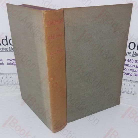 Picture of Searchlight on Animals