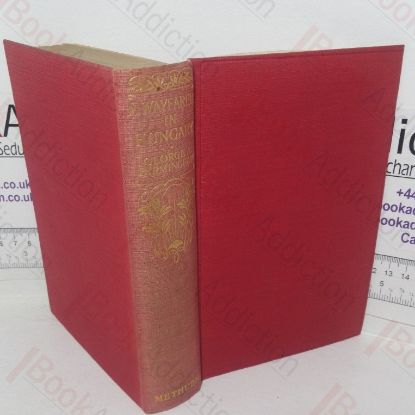 Picture of A Wayfarer in Hungary