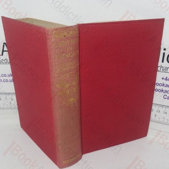 Picture of A Wayfarer in Hungary