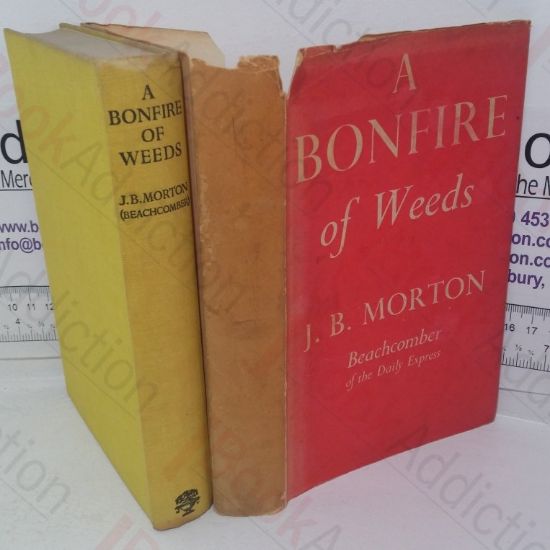 Picture of A Bonfire of Weeds