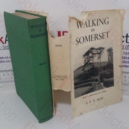 Picture of Walking in Somerset