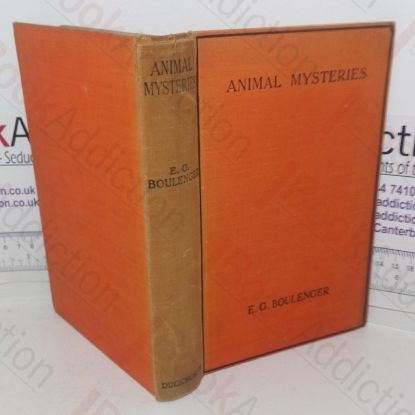 Picture of Animal Mysteries