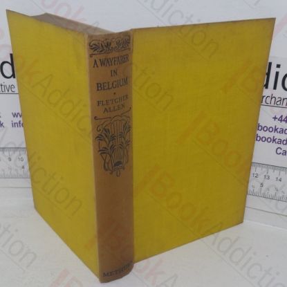 Picture of A Wayfarer in Belgium