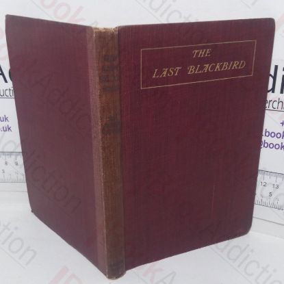 Picture of The Last Blackbird and Other Lines