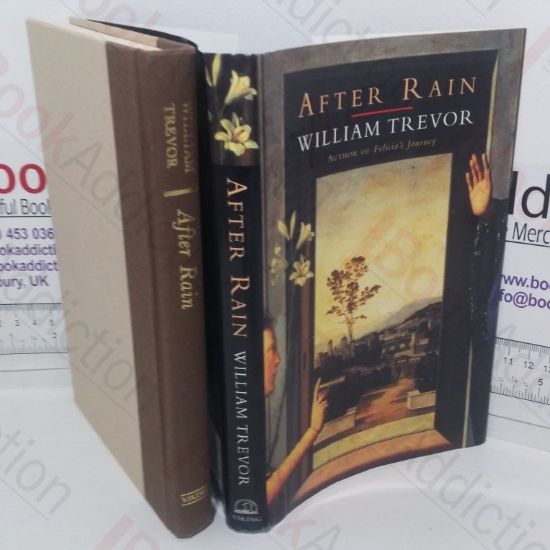 Picture of After Rain