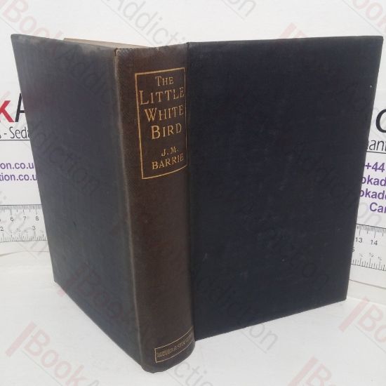 Picture of The Little White Bird