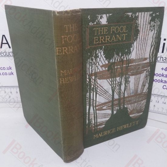 Picture of The Fool Errant: Being the Memoirs of Francis-Antony Strelley, Esq, Citizen of Lucca