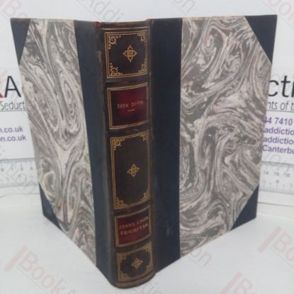 Picture of Jenny Linds Triumftag Genom Nya Varlden Och Ovriga Levnadsoden