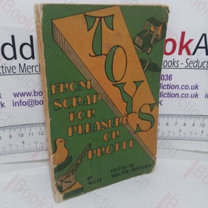 Picture of Toys from Scrap for Pleasure or Profit