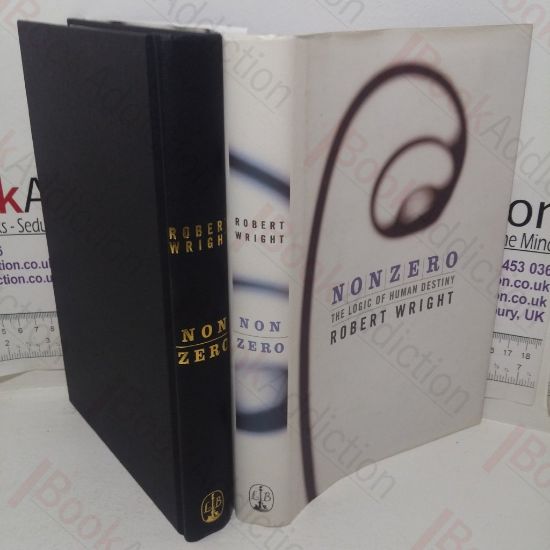 Picture of Non Zero: The Logic of Human Destiny [Nonzero]