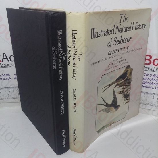 Picture of The Illustrated Natural History of Selborne