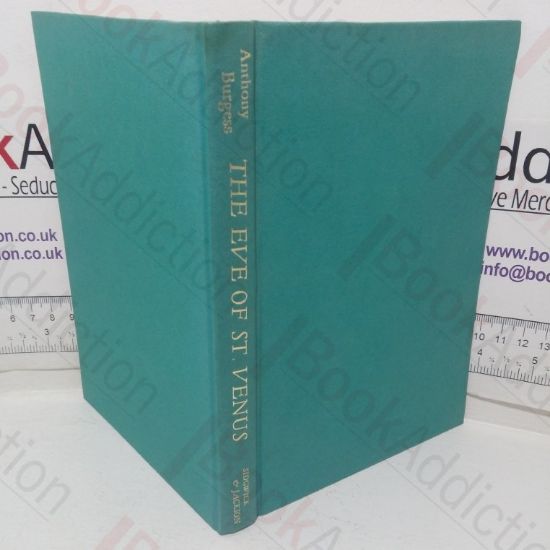 Picture of The Eve of Saint Venus