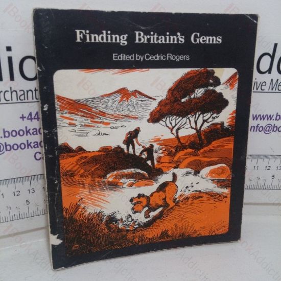Picture of Finding Britain's Gems
