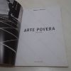 Picture of Arte Povera (Movements in Modern Art series)