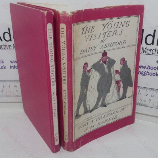 Picture of The Young Visitors, Or Mr Salteena's Plan