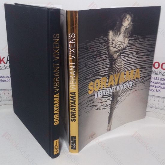 Picture of Vibrant Vixens